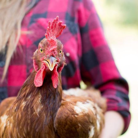 Woodstock Sustainable Farms Villa Eksteriør bilde