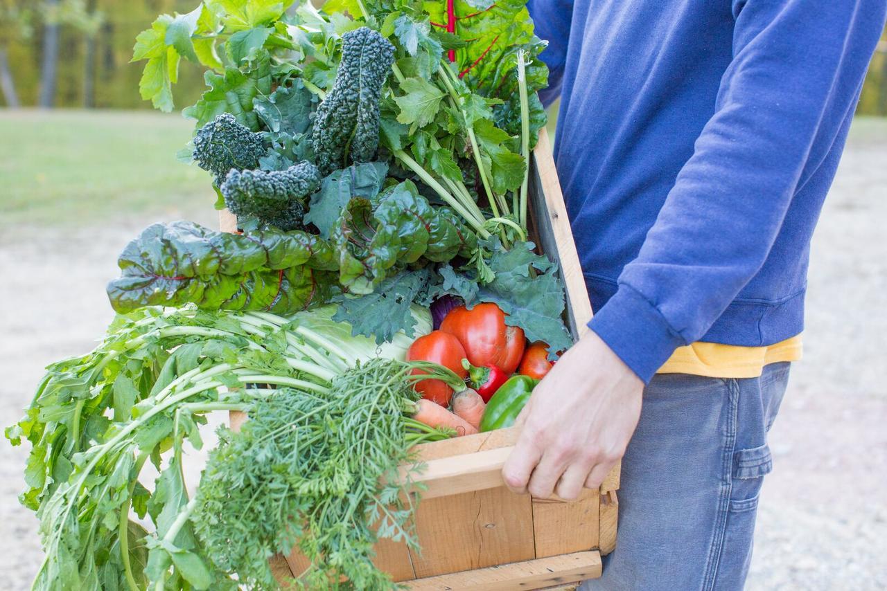 Woodstock Sustainable Farms Villa Rom bilde
